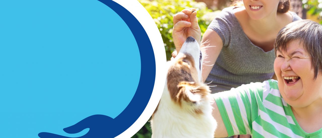 All About You Supports