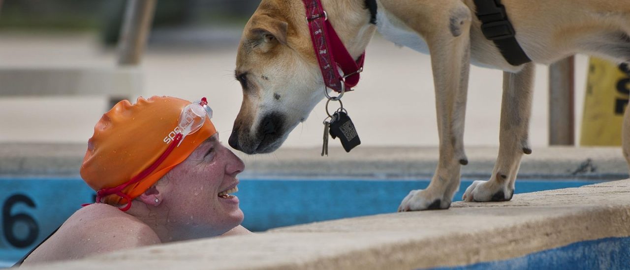 All About You Supports