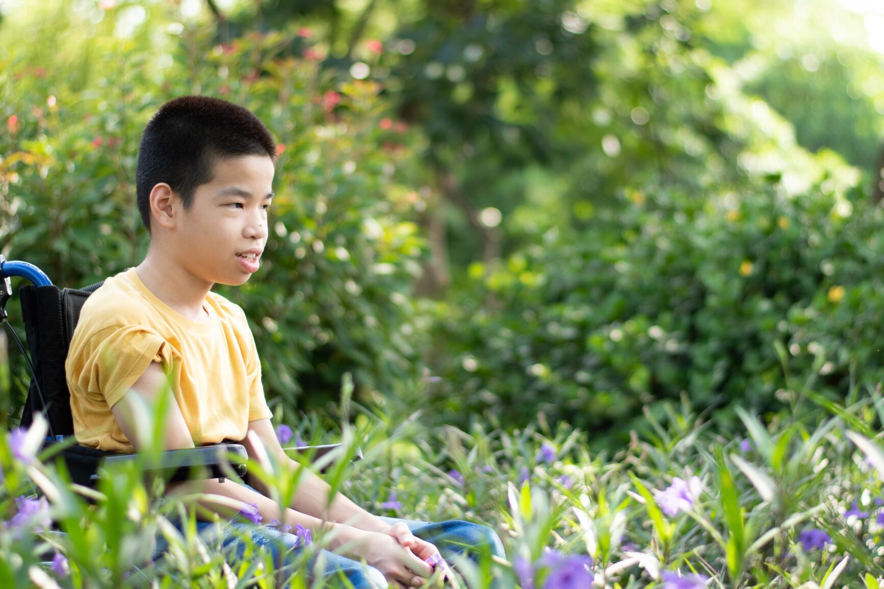 The image shows a person sitting in a wheelchair in a garden or park. The person is wearing a yellow shirt and blue pants. The surroundings are lush with greenery and purple flowers, creating a serene and natural environment. The wheelchair is partially visible, with a blue frame and black seat. The background is filled with various plants and trees, adding to the peaceful and vibrant atmosphere of the scene.

The purpose of this image is to illustrate accessibility and inclusivity in a natural, outdoor setting. By depicting a person in a wheelchair enjoying the garden, the image emphasizes the importance of creating accessible environments where everyone can enjoy nature and its beauty. This is highlighting the importance of inclusivity, or showcasing a positive and serene environment that is welcoming to all individuals.
